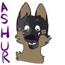 Ashur