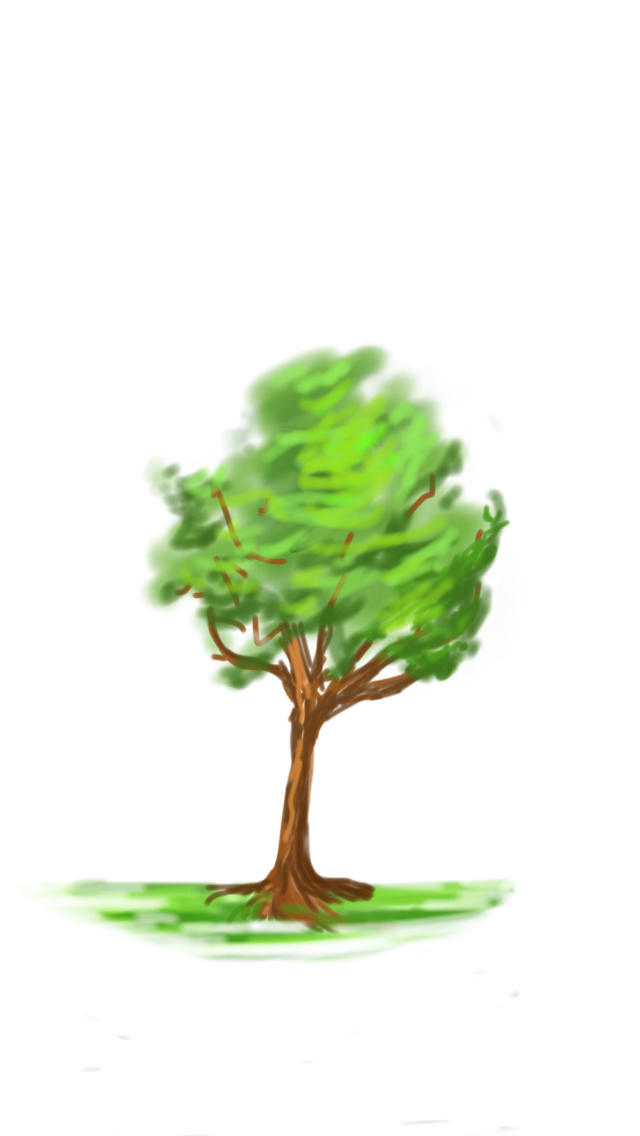 SKETCH A TREE