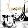 Protect - Bleach