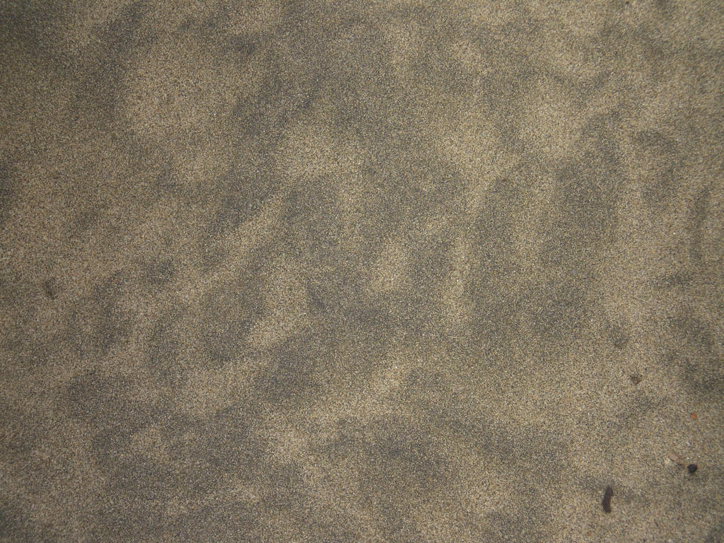 Sand texture by greybear on DeviantArt