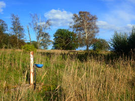 Rural silence