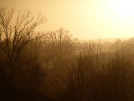 My foggy neighborhood