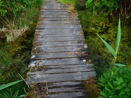 The old bridge