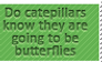 Catepillar Stamp