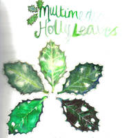 Multimedia Holly