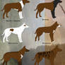 Irish Guardian Hound-Common Coat Patterns