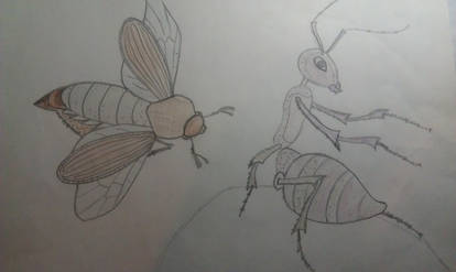 Supra Insect SupramaximaL User Profile | DeviantArt