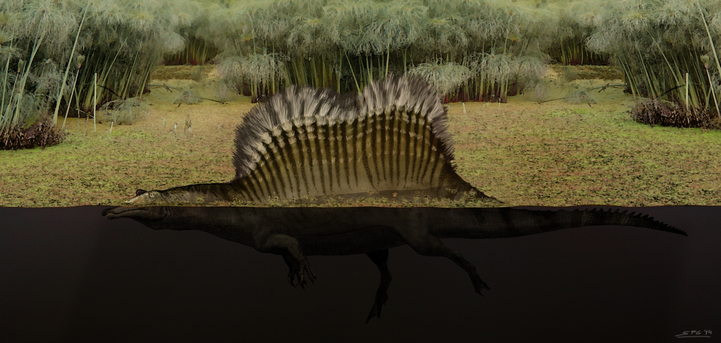 Yet another Spinosaurus...