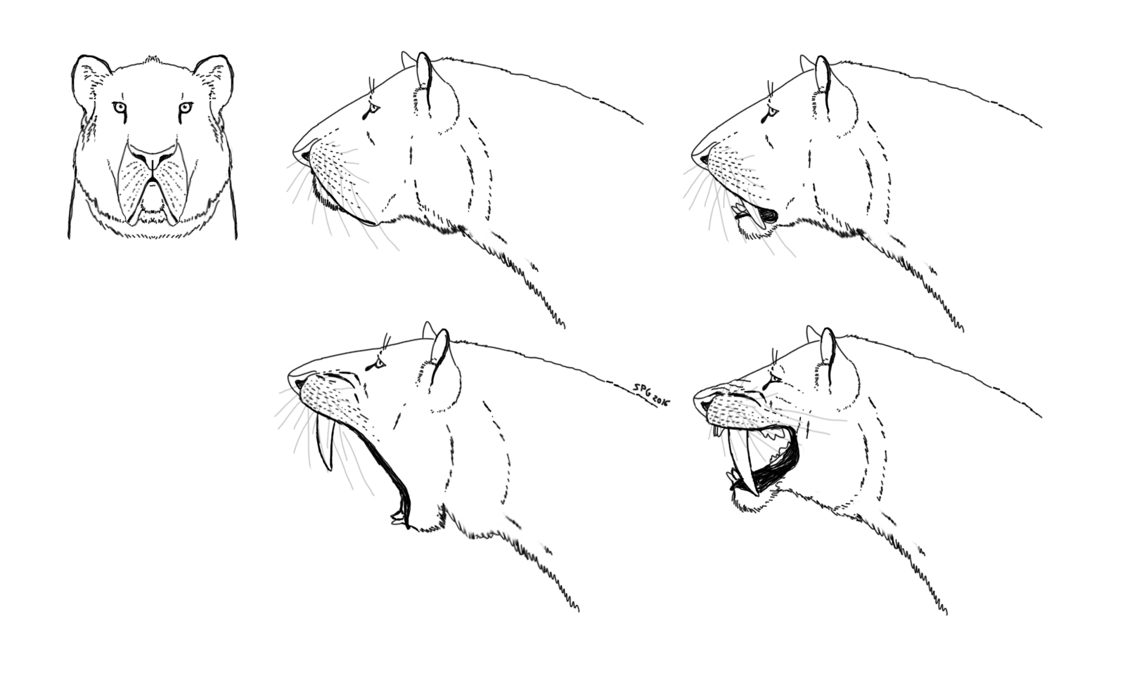 Where are the fangs?... here there are!
