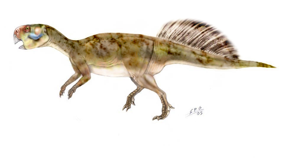 Psittacosaurus mongoliensis