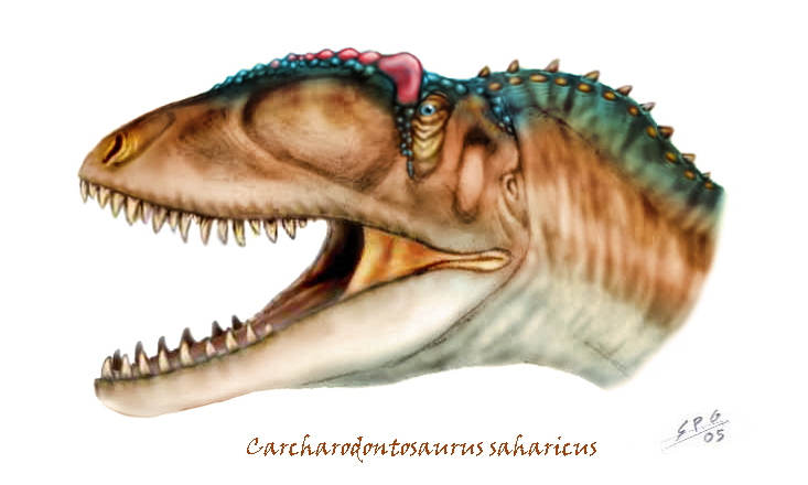 Carcharodontosaurus saharicus