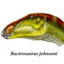 Bactrosaurus johnsoni