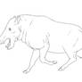 Daeodon