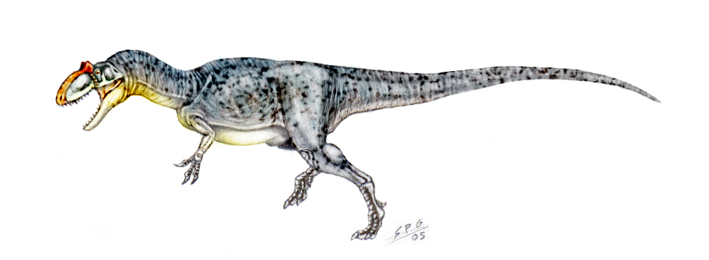 Allosaurus fragilis