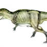 Giganotosaurus carolini