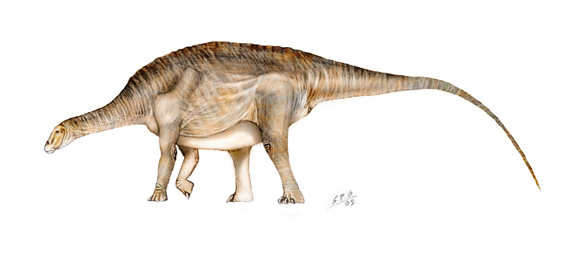 Brachytrachelopan mesai by unlobogris