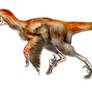 Deinonychus anthirropus