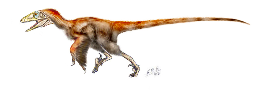 Deinonychus anthirropus