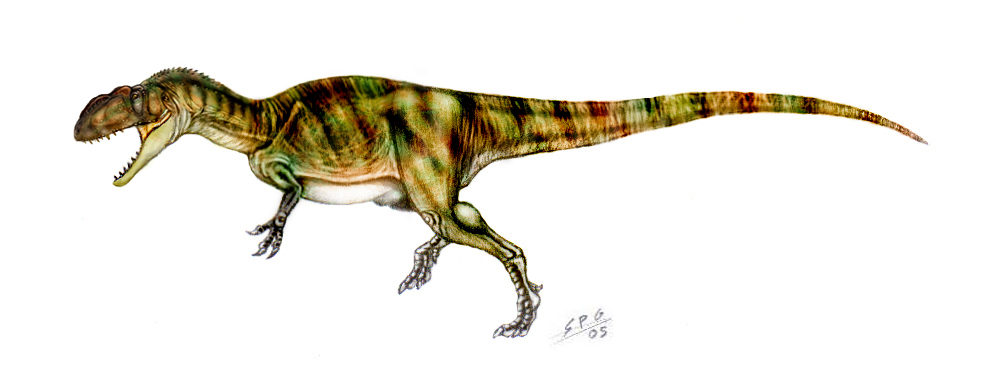 Yangchuanosaurus shangyouensis