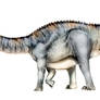 Apatosaurus louisae