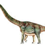 Brachiosaurus altithorax