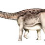 Argentinosaurus huinculensis
