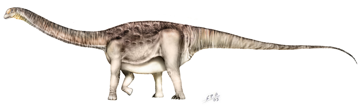 Argentinosaurus huinculensis by Ognimdo2002 on DeviantArt