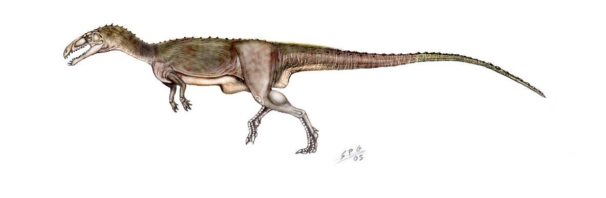 Masiakasaurus knopfleri by unlobogris
