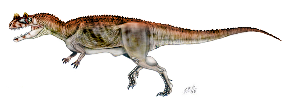 Ceratosaurus nasicornis by unlobogris