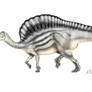 Ouranosaurus nigeriensis