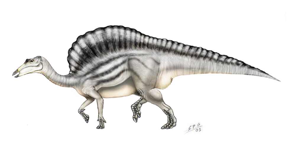 Ouranosaurus nigeriensis