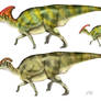 Parasaurolophus