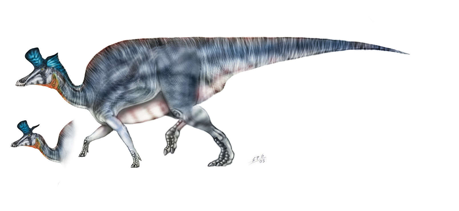 Lambeosaurus lambei