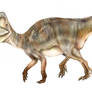 Archaeoceratops