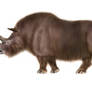 Coelodonta antiquitatis