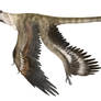 Microraptor gui