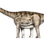 Aragosaurus ischiaticus