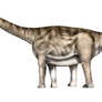 Aragosaurus ischiaticus