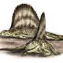 Dimetrodon resting