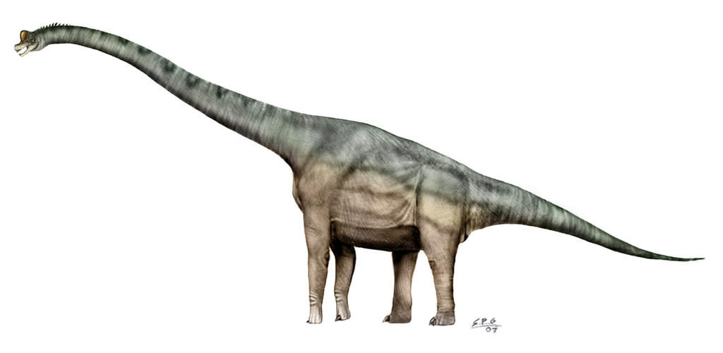 Brachiosaurus again