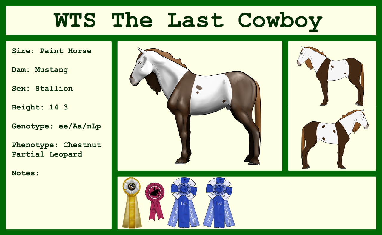 WTS The Last Cowboy by lionsilverwolf