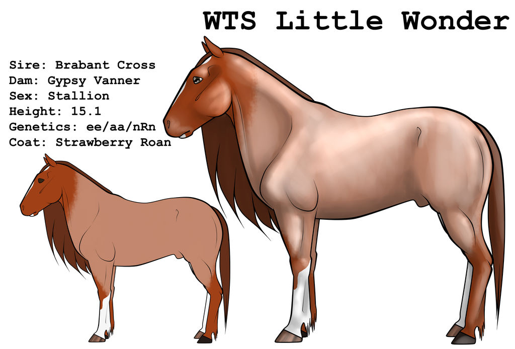 WTS Little Wonder by lionsilverwolf