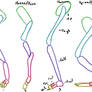 Furry Misconceptions - Leg Anatomy