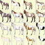 OPEN Free Horse Adopts