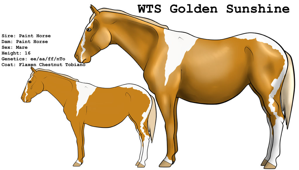 WTS Golden Sunshine by lionsilverwolf