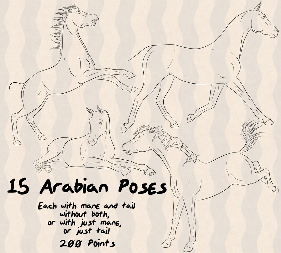 Arabian Horse 15 Poses by lionsilverwolf