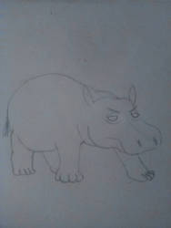 Hippopotamus sketch 