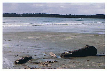 Tofino