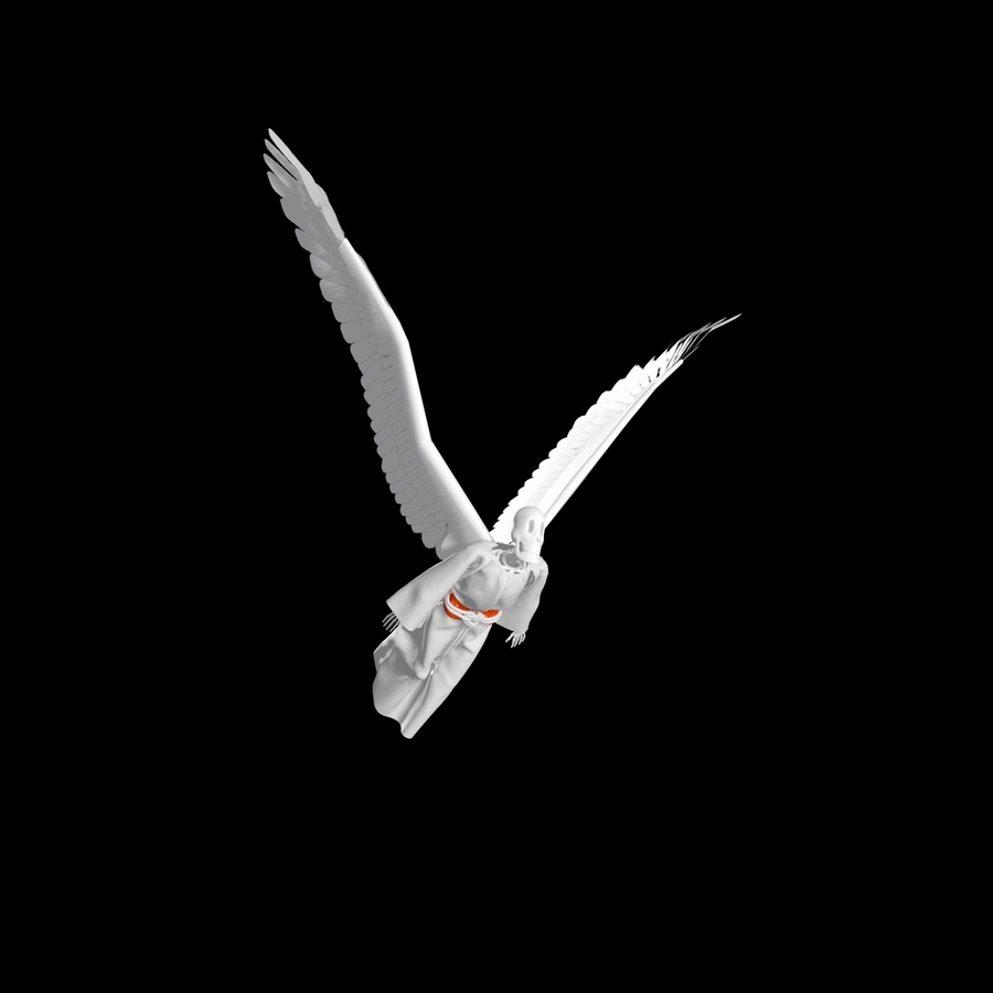 Wing Flapping Animation Bird Flapping Wings Gif at Donald Peterson blog
