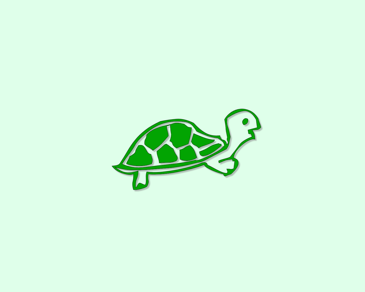 Turtle